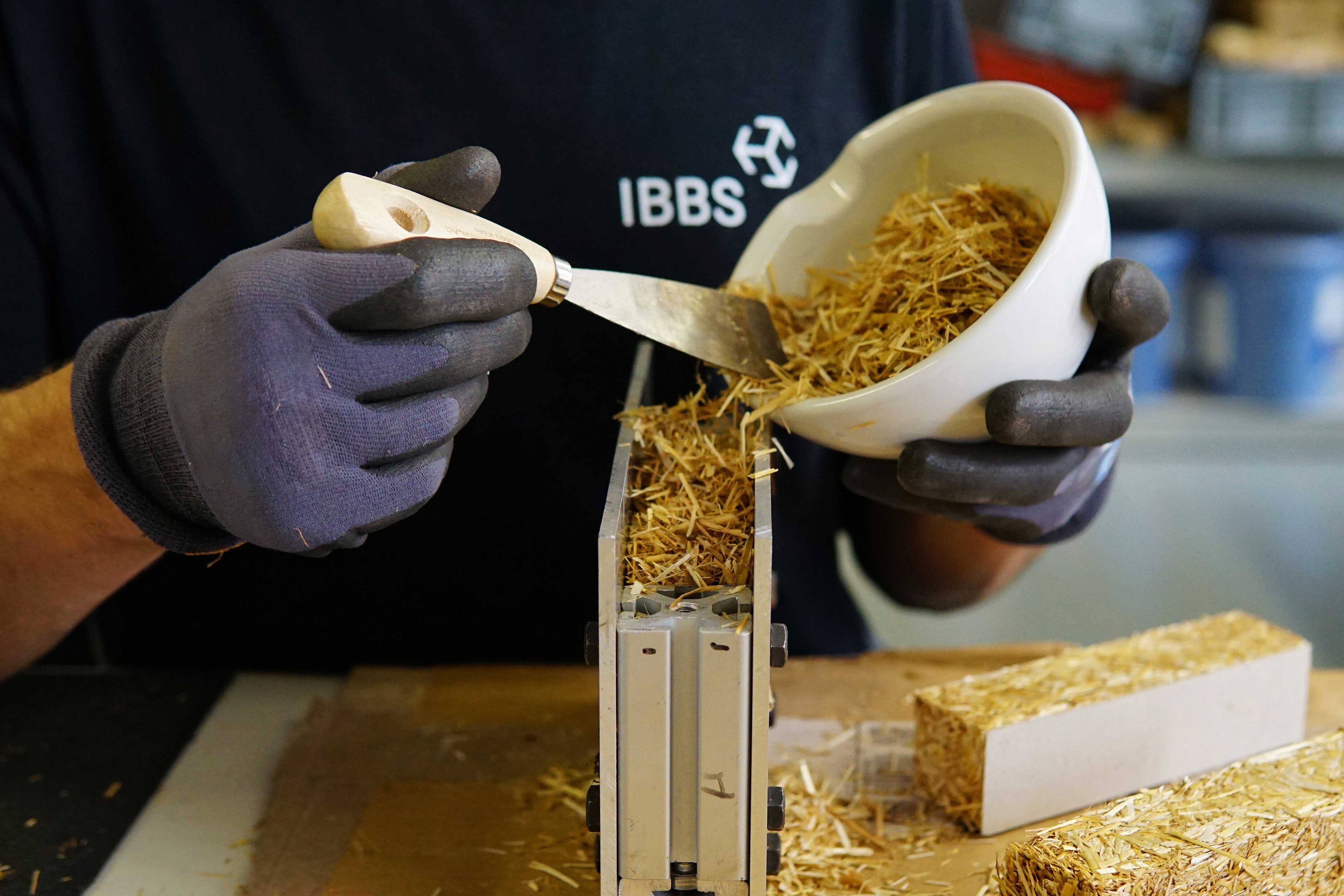 Zu den aktuellen Gewinnerbildern